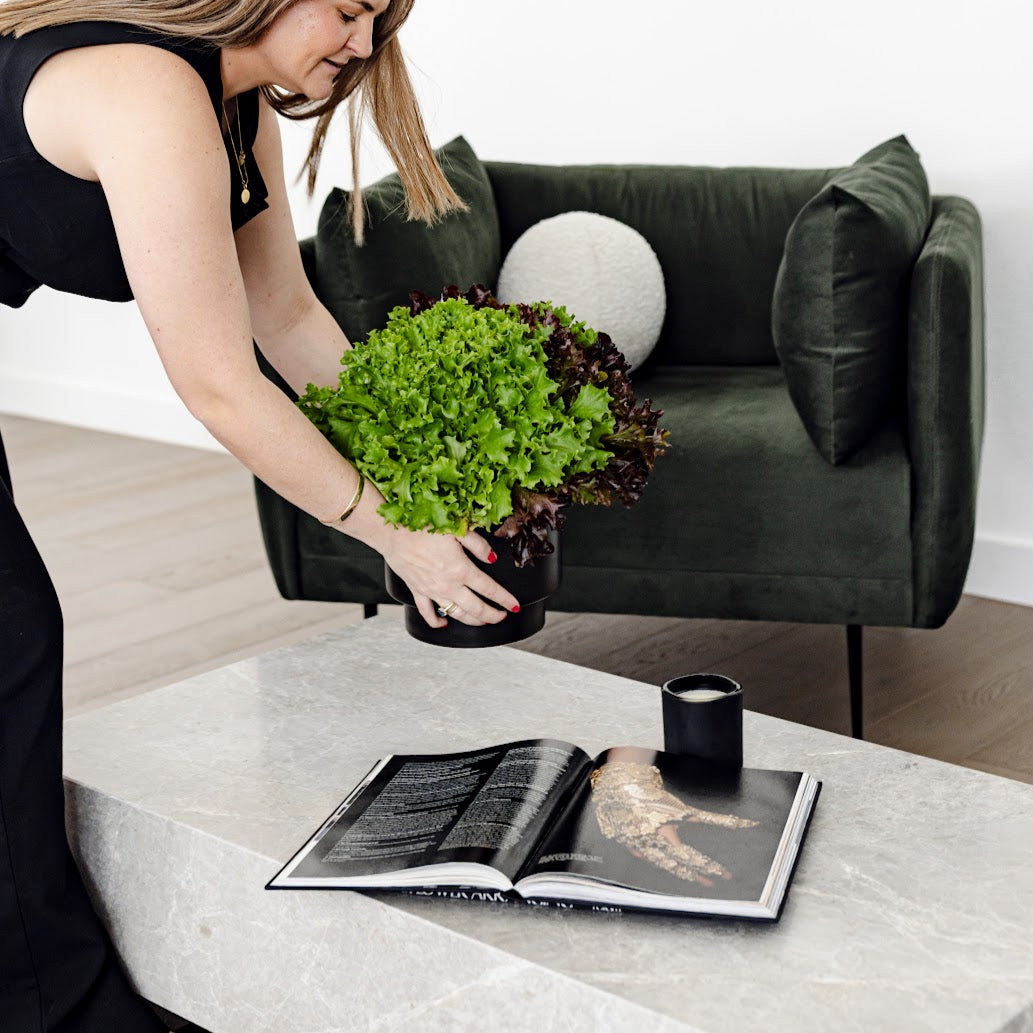 ANNUELLO- Tundra Kingston Coffee Table